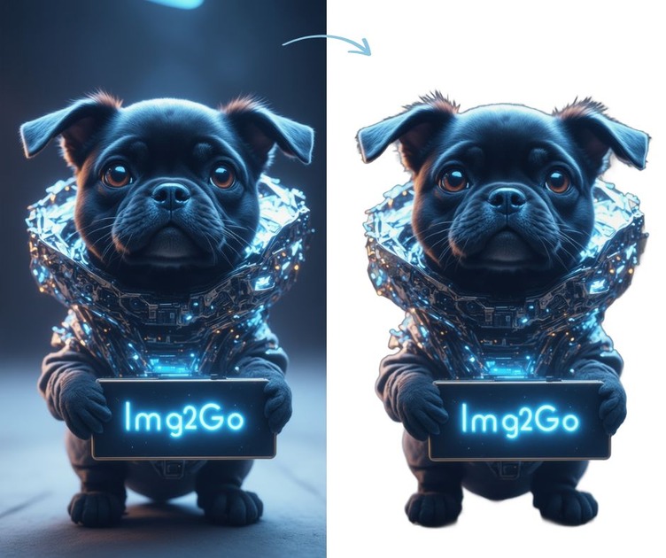 dog with Img2Go sign