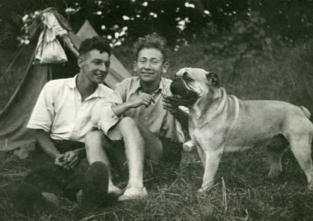 AI Colorize - Before