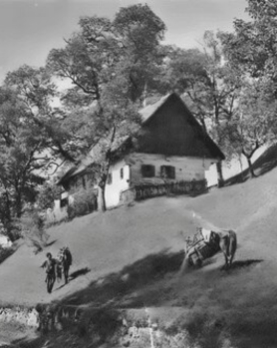 Восстановлено