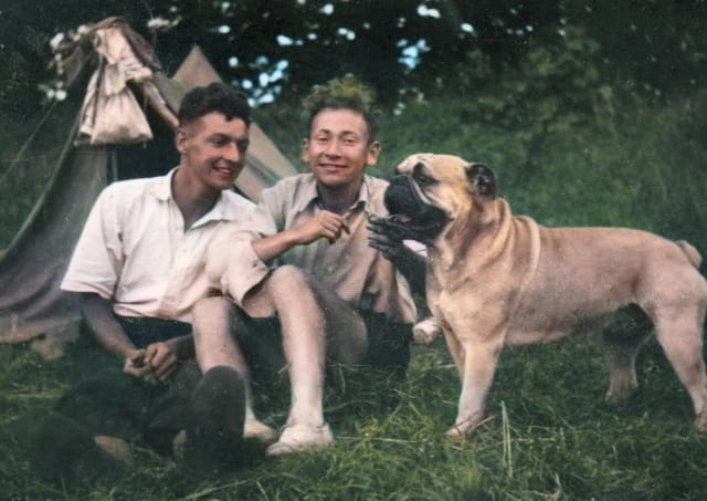 AI Colorize - After